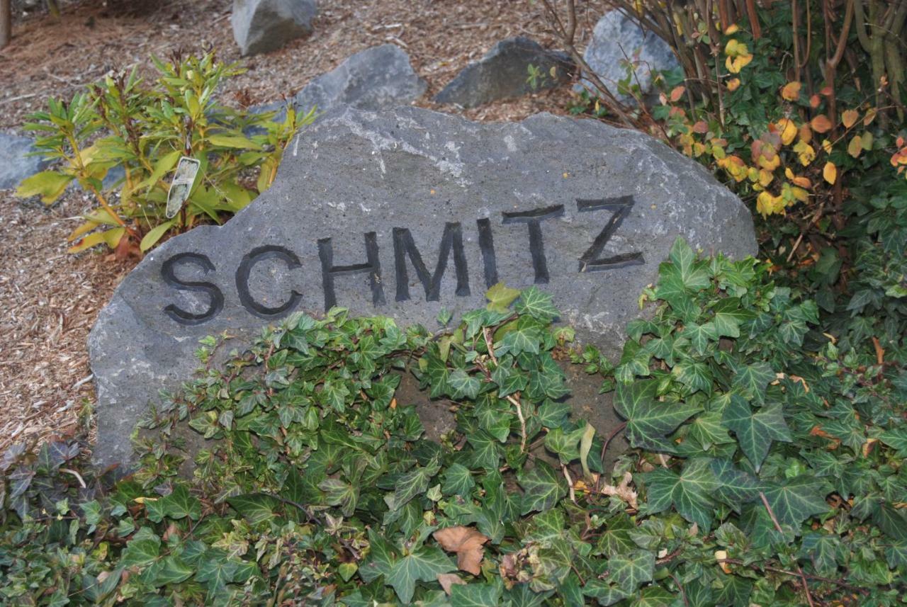 Ferienwohnung Schmitz Anschau Extérieur photo